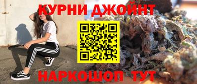 стаф Заводоуковск