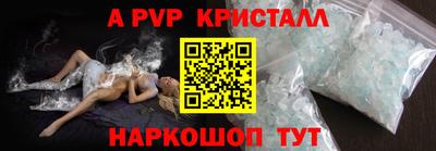 стаф Заводоуковск