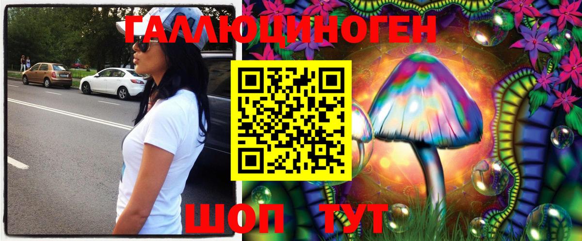купить закладку  Вход с VPN  Галлюциногенные грибы Magic Shrooms  Междуреченск  Галлюциногенные грибы Cubensis 